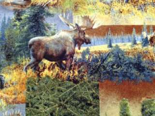 New Moose Fabric BTY Animal Wildlife Caldwell Creek Springs Creative 