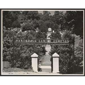   ,pets,dogs,tombs,memorials,headstones,burial,1936