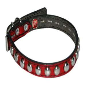   Studded Red Leather Collar (Fits neck size 7 10)