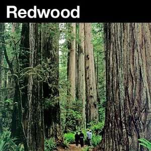 Redwood National Park Fridge Magnet 