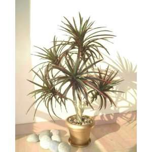  3ft Yucca Palm, Artificial Tree