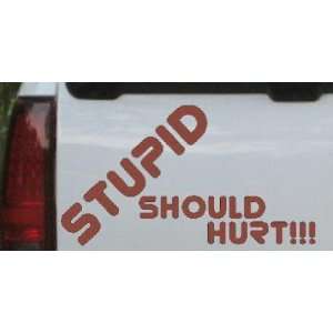 Stupid Should Hurt Funny Car Window Wall Laptop Decal Sticker    Brown 