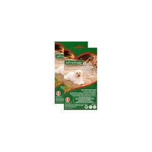  12 MONTH Advantage MULTI Green For Dogs 3 9 lbs. Pet 