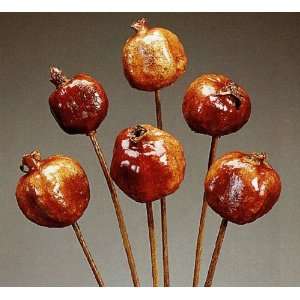  Polished Pomegranate on Stem 18 Long, Package of 6 Patio 