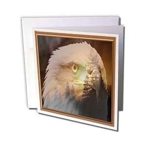  Beverly Turner Photography and Design   Eagle of the 