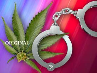 Legalize Marijuana Cross Stitch Pattern Pot TBB  