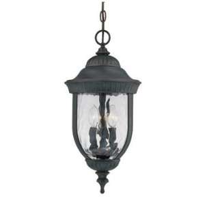 Savoy House 5 60328 186 Castlemain Hanging Outdoor Pendant 
