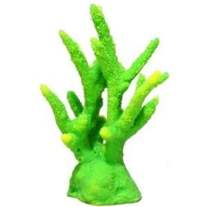  Ornament   Staghorn Coral Medium Green
