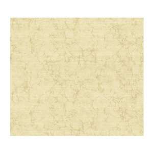   Wallcoverings CG5626 Willow Woods Tulip Texture Wallpaper, Light Gold