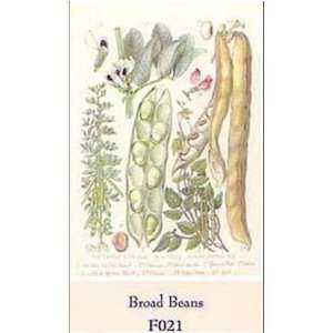  Broad Beans Poster Print