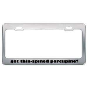 Got Thin Spined Porcupine? Animals Pets Metal License Plate Frame 