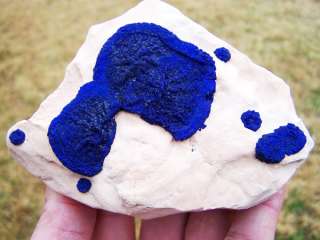   Blue Azurite Suns on Kaolinised Siltstone, Australia AZSun135  