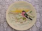 bird china dinner plates  