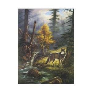  Timber Wolf Poster Print