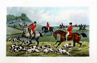 FOX HOUNDS HORSES HUNTING FOX, ANTIQUE PRINT BY HENRY ALKEN, SPORTING 
