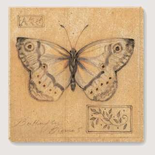 Chop Chop 12573 Humble Bugs Butterfly Coasters  Kitchen 