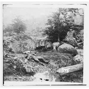 Civil War Reprint Gettysburg, Pa. Dead Confederate soldiers in the 