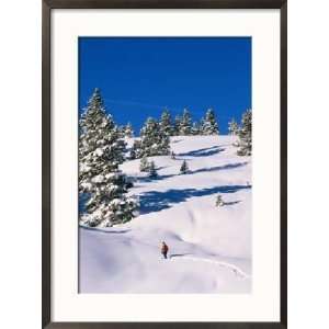  A Hiker Snowshoeing Along a Trail in Fresh Powder 