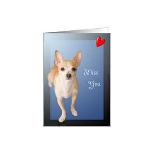  Cute Small Dog I Miss You Card Card Health & Personal 