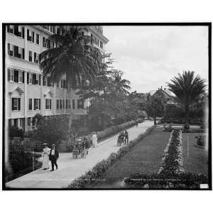  Walk,gardens,the Royal Poinciana,Palm Beach,Fla.