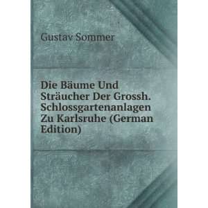   Zu Karlsruhe (German Edition) Gustav Sommer Books