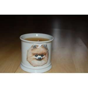  Pomeranian Candle