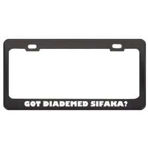 Got Diademed Sifaka? Animals Pets Black Metal License Plate Frame 