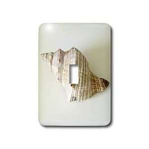  Florene Shells   Conch Shell Back   Light Switch Covers 