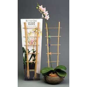   Orchid Trellis with Decorative Clips (2 Pack) Patio, Lawn & Garden