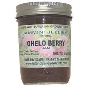 Ohelo Berry Jam  Grocery & Gourmet Food