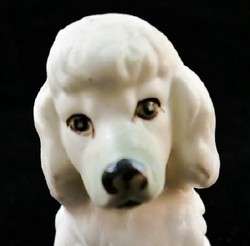 Vintage Hand Painted Porcelain WHITE POODLE Dog R10  
