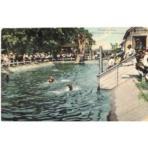   Vintage Postcard   Swimming Pool   Chautauqua   Shelbyville Illinois
