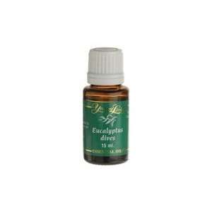  Eucalyptus Dives Essential Oil by Young Living   15 ml 