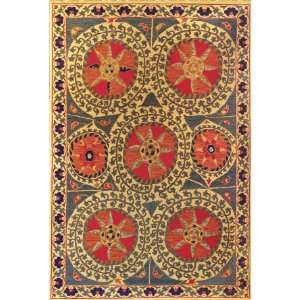  Tibet Rug Company Soumak Suzani 3 6 X 9 Area Rug