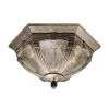   Sm Outdoor Wall Lighting Fixture, Pewter, Clear Seeded Glass  