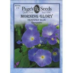  Morning Glory, Heavenly Blue Patio, Lawn & Garden