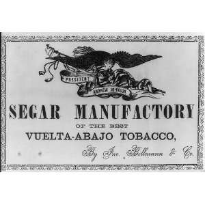  Segar Manufactory Vuelta Abajo Tobacco by Jno. Bollmann 