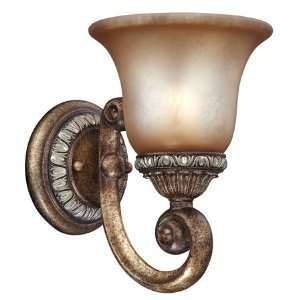 Dolan Designs 2406 162 Carlyle Collection 1 Arm Wall Sconce In Verona