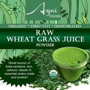  Raw Organic Wheat Grass Juice Powder   4 oz Health 