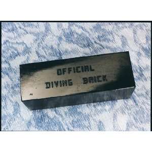  Water Gear Diving Brick