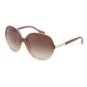 Sunglasses D&G DD8089 178113 BROWN GRADIENT BROWN GRADIENT