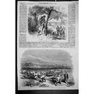  1859 War Piedmontese Vidette Sardinians Cutting Trees 