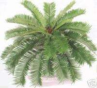 SAGO PALM BUSH 27 ARTIFICIAL PLANT SILK HOME DECOR  