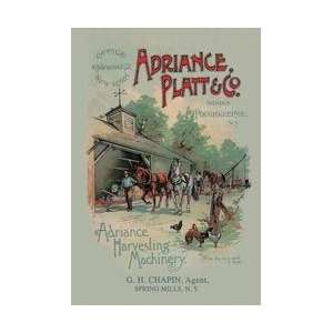 Adriance Platt and Co 20x30 poster 