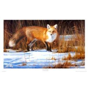  Fox On The Run by Edward Aldrich, 26x16