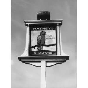  The Fun Inn Sign for the Parrot Inn at Shalford, Surrey 