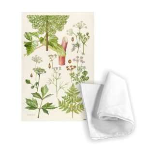 Garden Angelica and other plants (w/c) by   Tea Towel 100% Cotton 