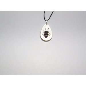  Clear Real Insect necklace (SD0721) 
