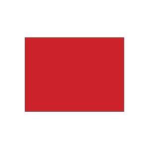  Blank 4 x 3 Rectangle Paper Label, Fluorescent Red 
