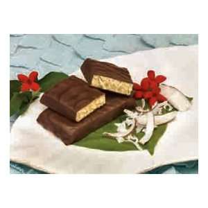  Chocolate Coconut Diet Protein Bar